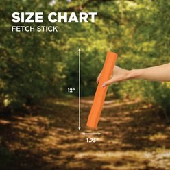 Hound2O Fetch Stick Dog Toy, Orange slide 2 of 7