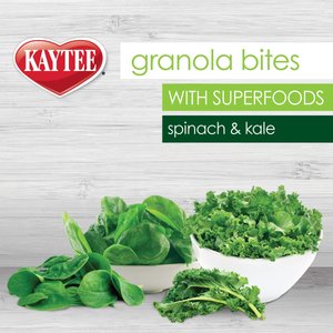 Kaytee Granola Bites Spinach & Kale Bird Treats, 4.5-oz bag