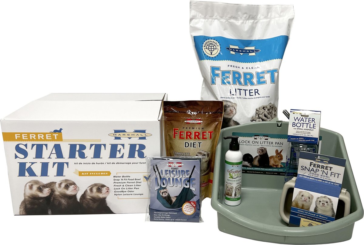 Ferret starter cheap kit