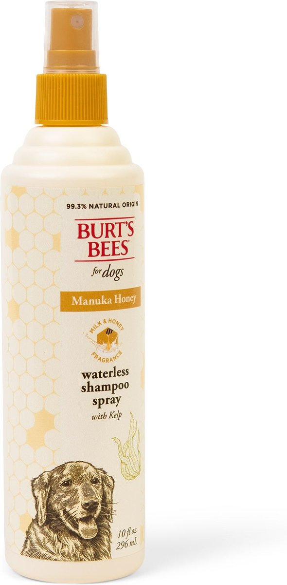 Burt's bees waterless outlet shampoo for dogs