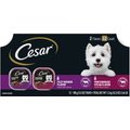 Cesar Classic Loaf in Sauce Adult Filet Mignon & Porterhouse Steak Flavors Variety Pack Wet Dog Food Trays, 3.5-oz, case of 12
