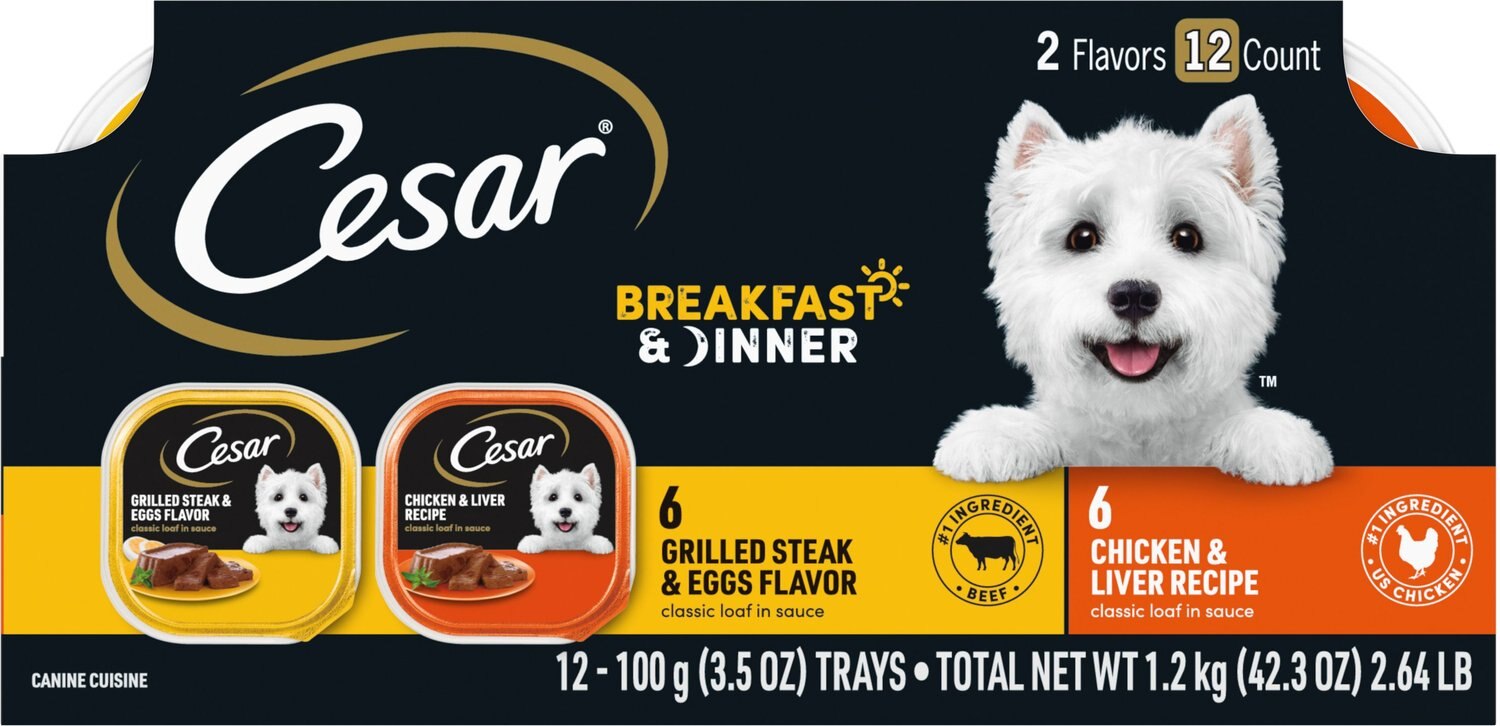 cesar breakfast dog food