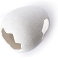 Galapagos Ceramic Egg Reptile Hideout, White, Medium, 6.3x5.12-in