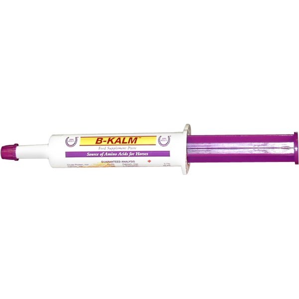 ORALX Calm & Cool Paste Horse Supplement, 1.2oz syringe