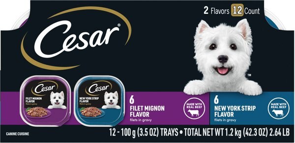 Cesar Filets in Gravy Beef Multipack Dog Food Trays, 3.5-oz, case of 12 slide 1 of 10