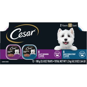 Cesar Filets in Gravy Beef Variety Pack Small Breed Adult Wet Dog Food Trays, 3.5-oz, case of 12