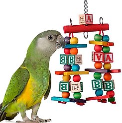 Super Bird Creations Katy's ABCs Jr. Bird Toy