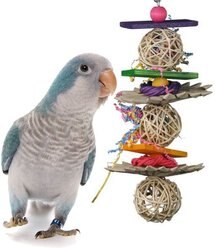 Super Bird Creations Crunch & Munch Bird Toy