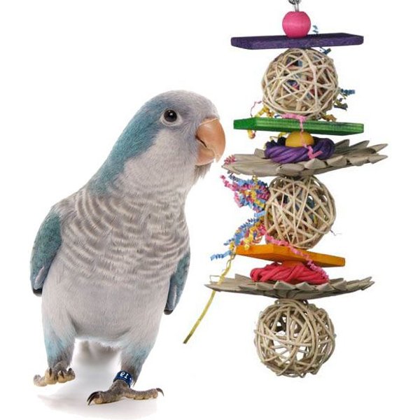 SUNGROW Parakeet & Bearded Dragon Ladder Rope Bridge Bird & Reptile Toy 