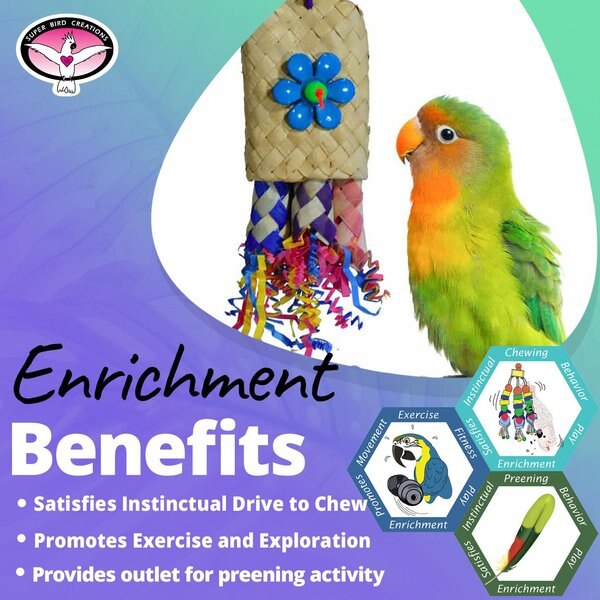 Super Bird Creations Pocket Rocket Bird Toy