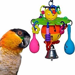 Super Bird Creations Maraca Blast Bird Toy