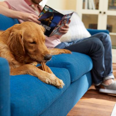 Show full view: Pedigree Dentastix Large Original Chicken Dental Dog Treats, 32 count slide 5 of 12