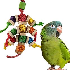 Super Bird Creations Bingo Chips Bird Toy
