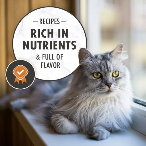 Nutro Wholesome Essentials Indoor Chicken & Brown Rice Recipe Adult Dry Cat Food, 14-lb bag