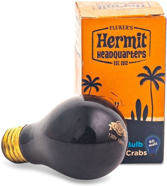 FLUKER'S Hermit Headquarters Black Incandescent Hermit Crab Bulb