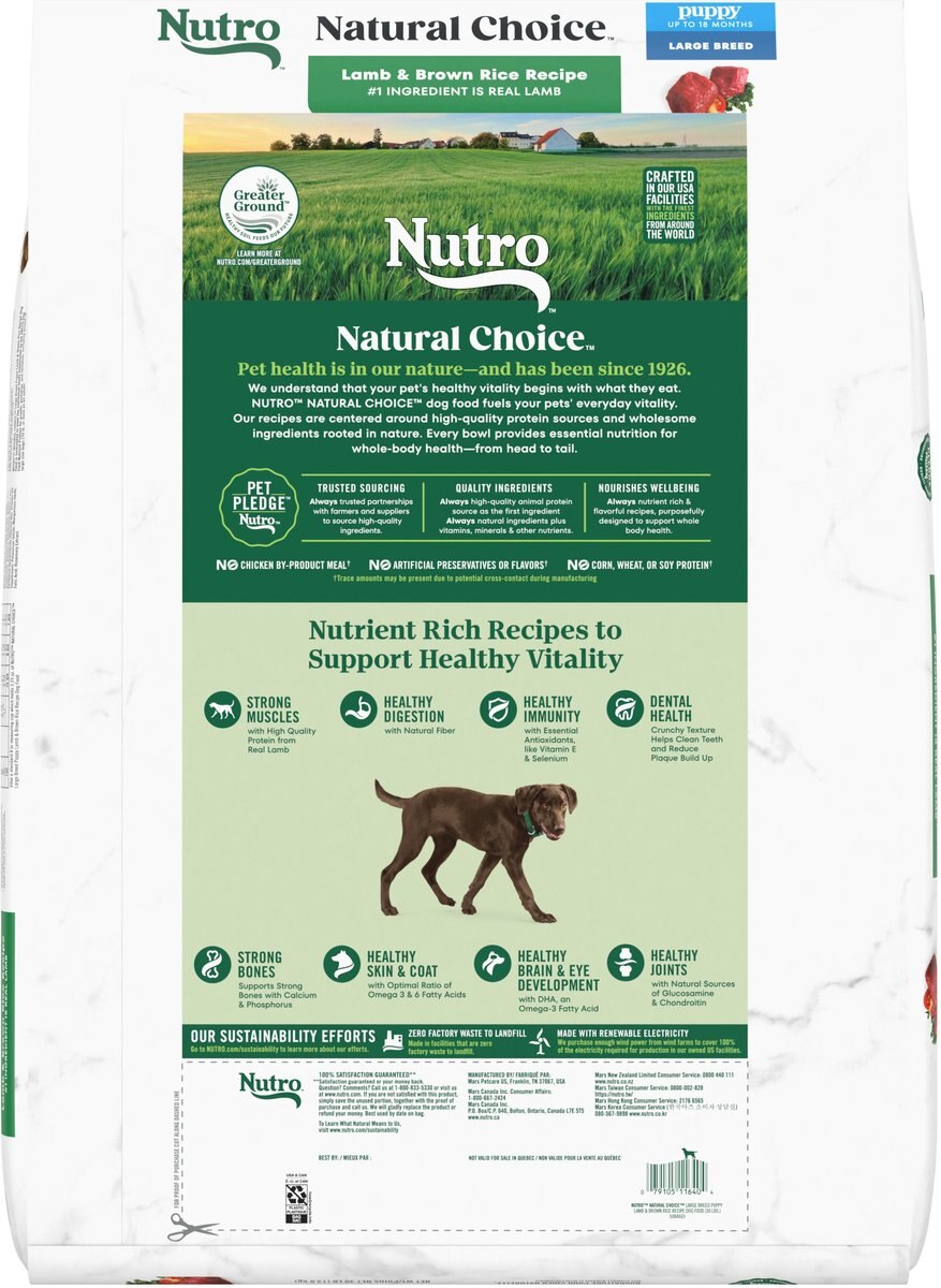 Nutro canned puppy food sale