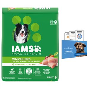 Wisdom Panel Essential Breed Identification DNA Test + Iams MiniChunks Small Kibble Dry Dog Food