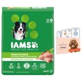Wisdom Panel Premium Breed Identification & Health Condition Identification DNA Test + Iams MiniChunks Small Kibble Dry Dog Food