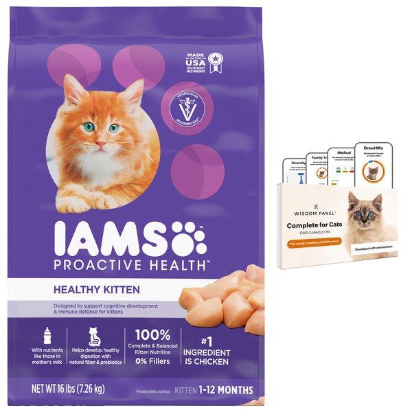 Wisdom Panel Complete DNA Test + Iams ProActive Health Kitten Dry Cat Food slide 1 of 9