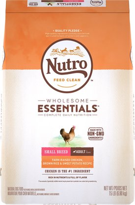 chewy nutro small breed