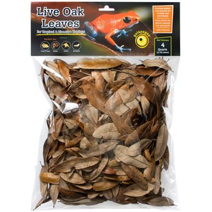 GALAPAGOS Live Oak Leaves Reptile Litter, Natural, 4-qt - Chewy.com