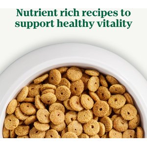 Nutro Natural Choice Senior Chicken & Brown Rice Recipe Dry Dog Food, 30-lb bag