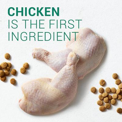 Show full view: Nutro Wholesome Essentials Large Breed Puppy Farm Raised Chicken, Brown Rice & Sweet Potato Recipe, 15-lb bag slide 4 of 9