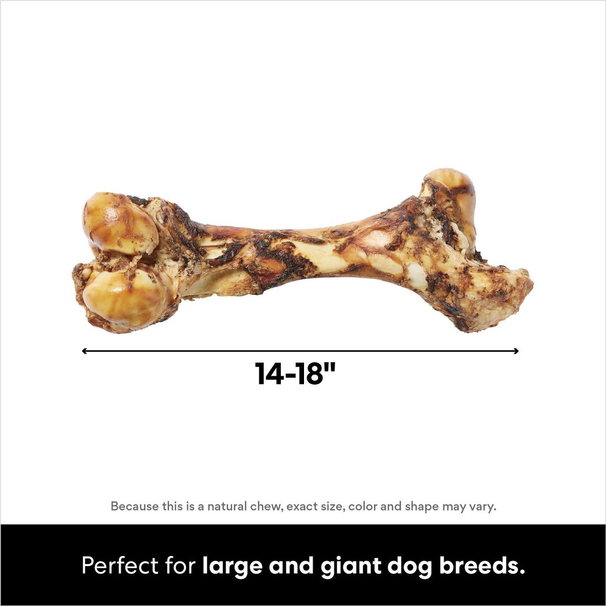 Big dog store bones