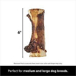 Bones & Chews Made in USA Roasted Marrow Bone 6" Dog Treat slide 2 of 6