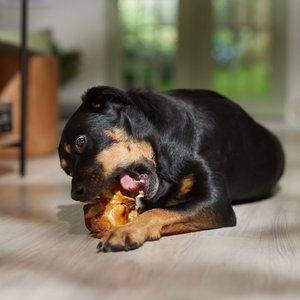 Bones & Chews Made in USA Beef Knuckle Bone Dog Treat, 1 count