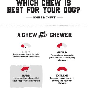 Bones & Chews Made in USA Beef Knuckle Bone Dog Treat, 1 count