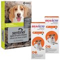 Bravecto Topical Solution, 9.9-22 lbs, (Orange Box), 2 Doses (6-mos. supply) + Sentinel Spectrum Chew for Dogs, 8.1-25 lbs, (Green Box), 6 Chews (6-mos. supply)