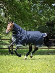LeMieux Arika Storm-Tek 200g Horse Rug, Navy, 66-in