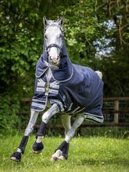 LeMieux Arika Storm-Tek 200g Horse Rug, Navy, 69-in slide 2 of 8