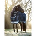 LeMieux Arika Storm-Tek 350g Horse Rug, Navy, 66-in