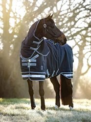 LeMieux Arika Storm-Tek 350g Horse Rug, Navy, 84-in