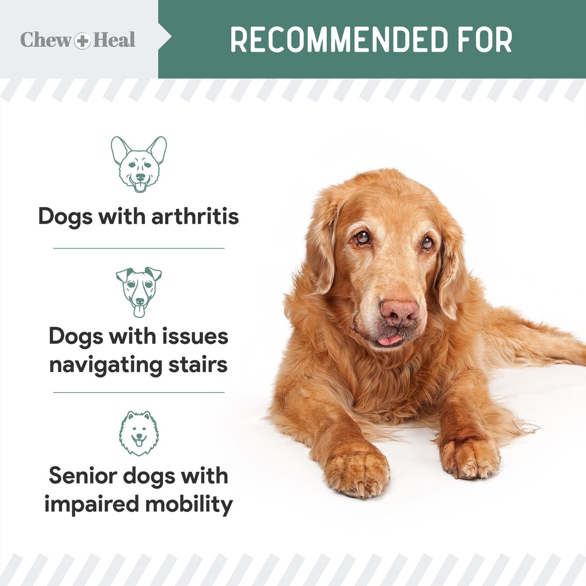 Well and good joint health for senior clearance dogs