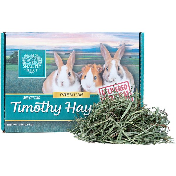 KENT / BLUE SEAL Home Fresh Show Hutch Deluxe 17 Small Animal Food, 20