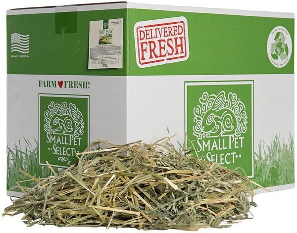 Small Pet Select Oat Hay Chinchilla, Guinea Pig & Rabbit Food