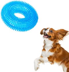 CoCoo Squeaky Dog Chew Toy
