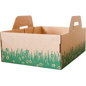 Ten Second Litter Box Biodegradable Disposible Cat Litter Box, 5 count