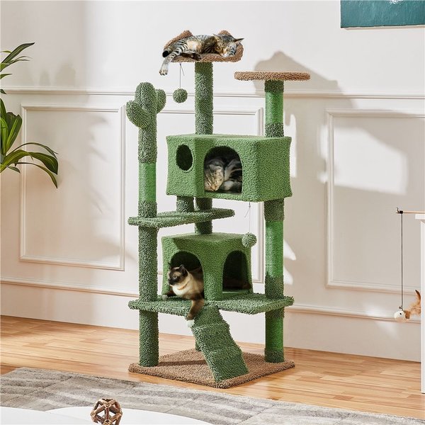 Calypso clearance cat scratcher