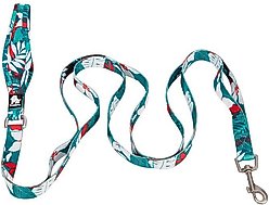 Chai's Choice Premium Tropic Thunder Training Dog Leash, Aqua, Large slide 2 of 3