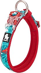 Chai's Choice Premium Tropic Thunder Dog Collar, Aqua, Medium