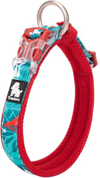 \u0020Chai's Choice Premium Tropic Thunder Dog Collar\u0020