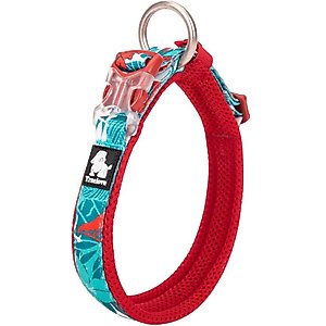 Chai's Choice Premium Tropic Thunder Dog Collar, Aqua, Medium