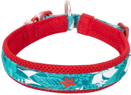 Show full view: Chai's Choice Premium Tropic Thunder Dog Collar, Aqua, Large slide 4 of 7