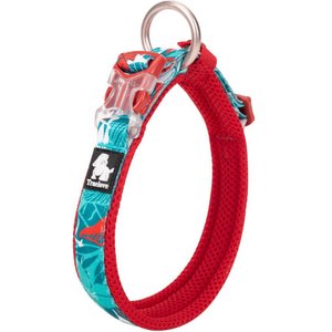 Chai's Choice Premium Tropic Thunder Dog Collar, Aqua, X-Large