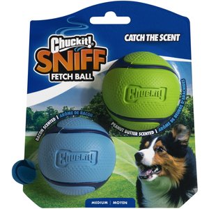 Chuckit! Sniff Fetch Balls Duo Dog Toy, Medium