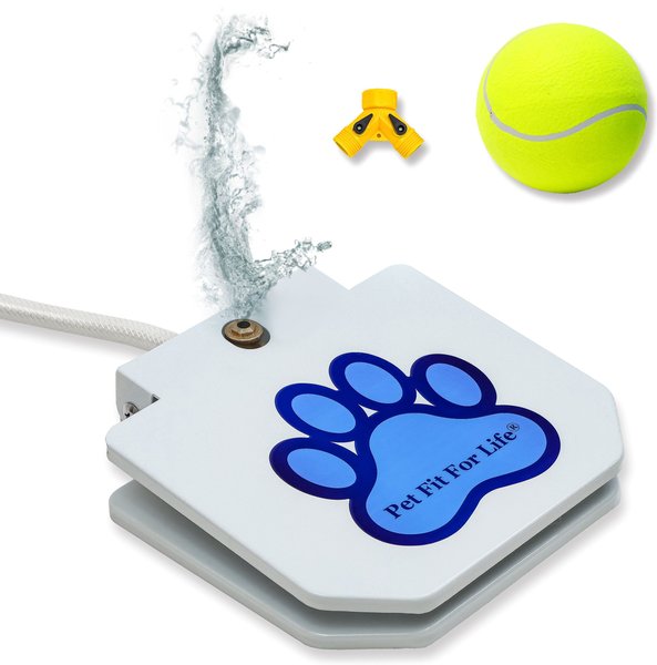 Dog activated hotsell sprinkler toy